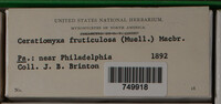 Image Associated With the Occurence